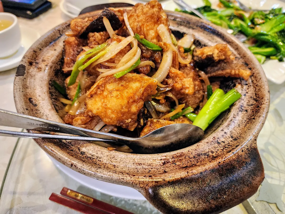 braised black cod with garlic in clay pot 蒜子黑鱼煲
